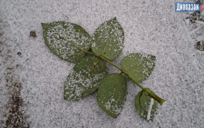 Погода в Актобе на 11-13 декабря. Ожидается потепление и сильный снег