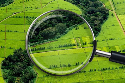 В Казахстане досрочно вернули государству 2 млн гектаров неиспользуемых земель