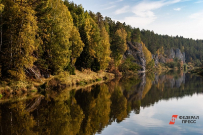 За год Президентский фонд природы поддержал 321 экологический проект