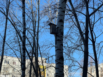 Еще один рекорд: 27 марта в Казани повторило максимум шестилетней давности