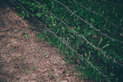 ЕАН: в Курганской области фиксируются массовые изъятия земель у фермеров