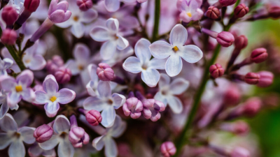 Татарстанцев ждут самые короткие майские праздники за последние восемь лет 14/04/2026 &ndash; Новости