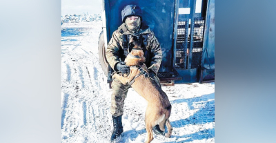 Верные напарники на службе закона