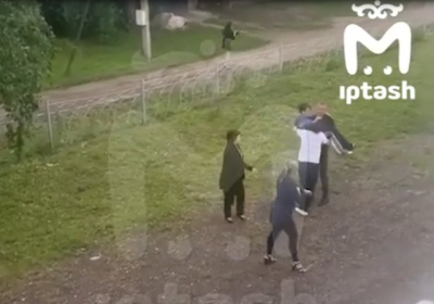 Бастрыкин взял на контроль дело о нападении собак на ребенка в Бугульме