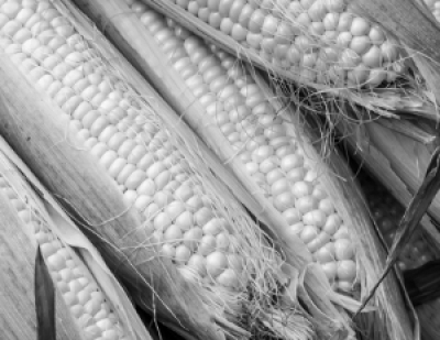 ВВС Израиля и США атаковали Тегеран