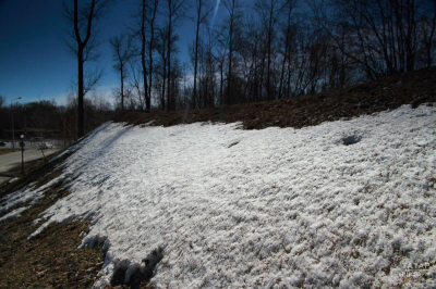 В Татарстане потеплеет до 6 градусов выше нуля, ветер ослабнет