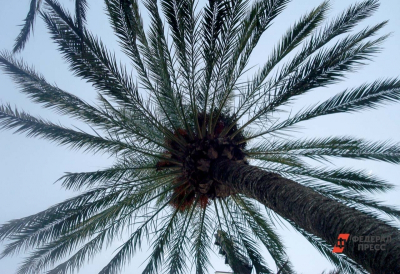 Курорты Таиланда на паузе: геополитика и цены бьют по туризму