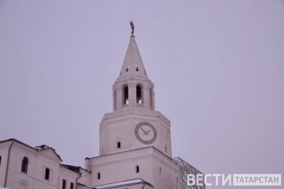 В Казани проведут бесплатный урок по РЖЯ