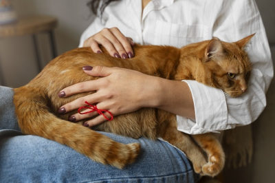 Болезнь, о которой вы не знаете: 30% людей заражены этим