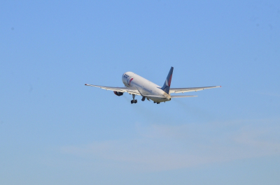 Авиакомпания выплатила почти 100 тысяч рублей за гибель кошки во время авиаперелета