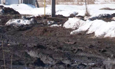 Бастрыкину доложат о грунтовой дороге в селе для многодетных в Татарстане