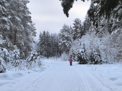 В Челябинске сотрудники ППС нашли заблудившуюся в лесу женщину