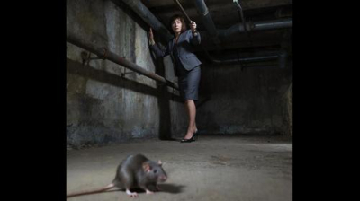 Мэр Ялты велела подчиненным раз в неделю лазать по подвалам