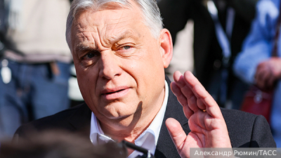 World Aquatics разрешила россиянам выступать с флагом и гимном на соревнованиях