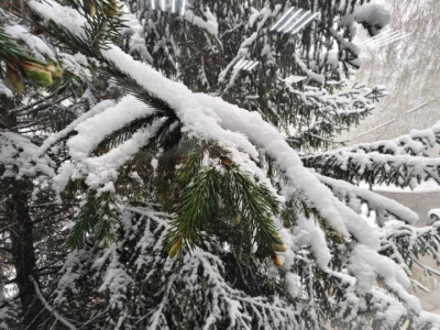 В Татарстане завтра резко похолодает, выпадет мокрый снег