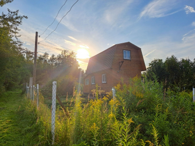За выращивание шалфея новосибирцы рискуют получить срок
